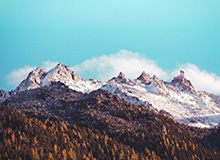 九游体育下载-B体育：让运动更简单，更精彩